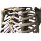 Sistem-clema-titan-fixare-stern-latime